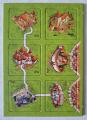 Carcassonne 3: Rumunské opevněné kostely Screenshot